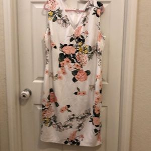 New York and Company